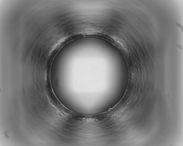 X0000095920539200802011215