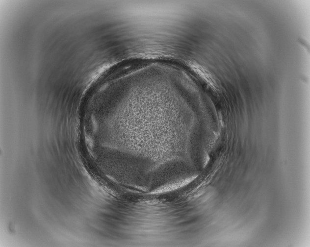 X0000095920540200802011215