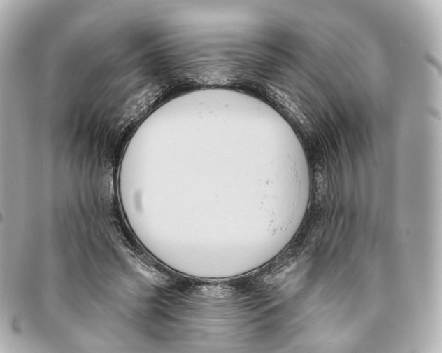 X0000095920541200802011215