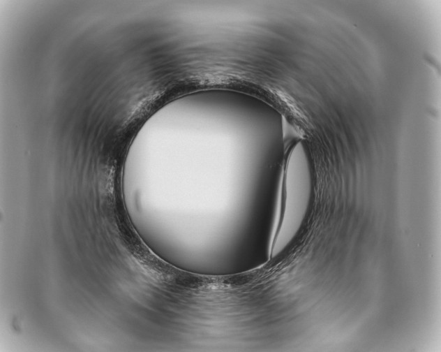 X0000095920543200802011215