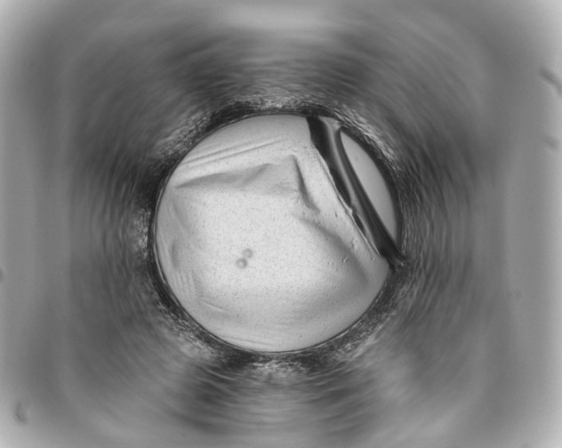 X0000095920545200802011215