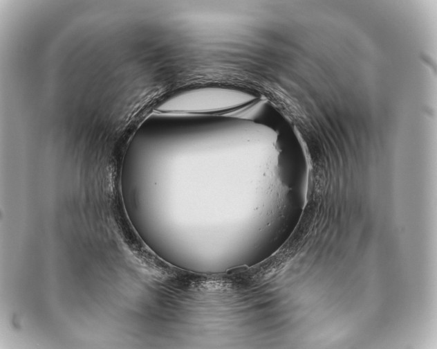 X0000095920546200802011215