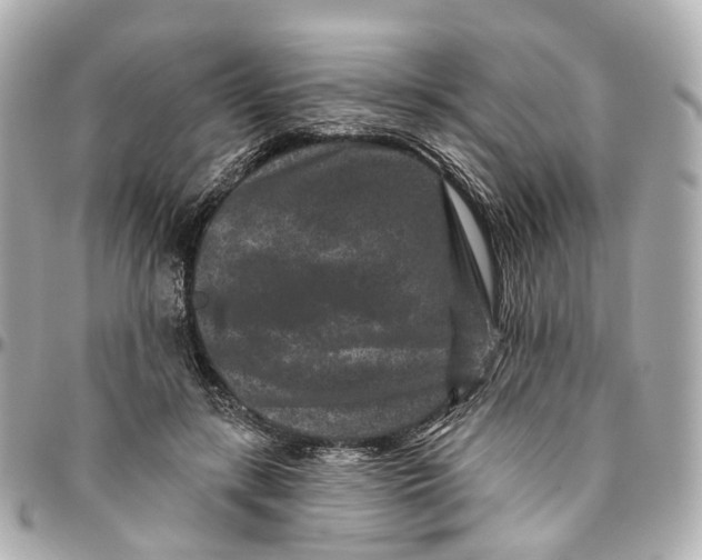 X0000095920547200802011215