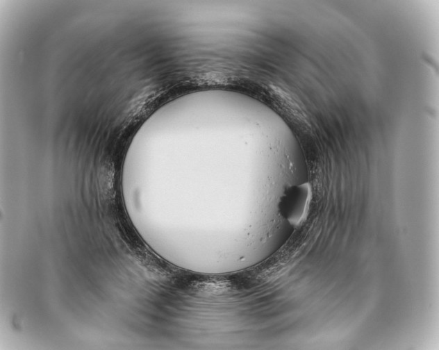 X0000095920548200802011215