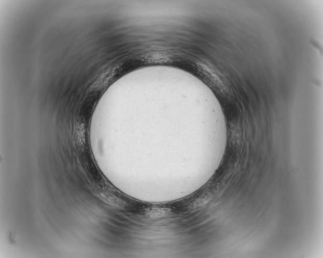 X0000095920549200802011215