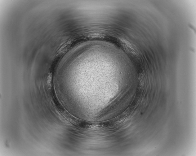 X0000095920550200802011215