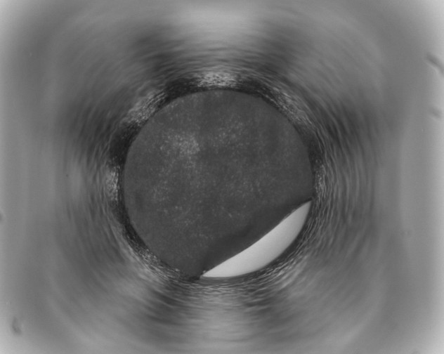 X0000095920551200802011215