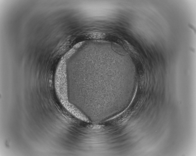 X0000095920553200802011215