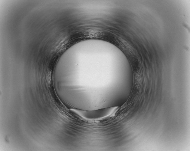 X0000095920554200802011215