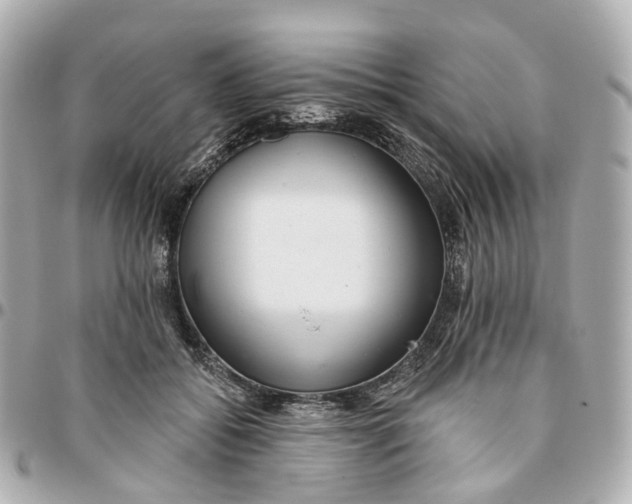 X0000095920556200802011215