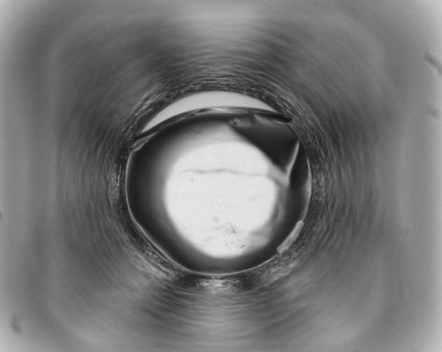 X0000095920558200802011215