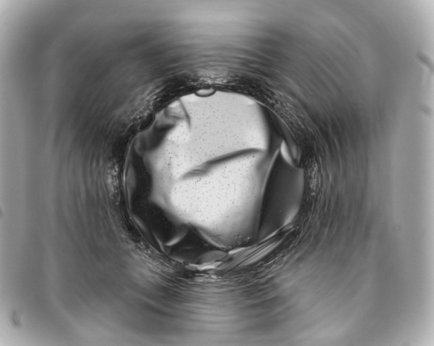 X0000095920559200802011215