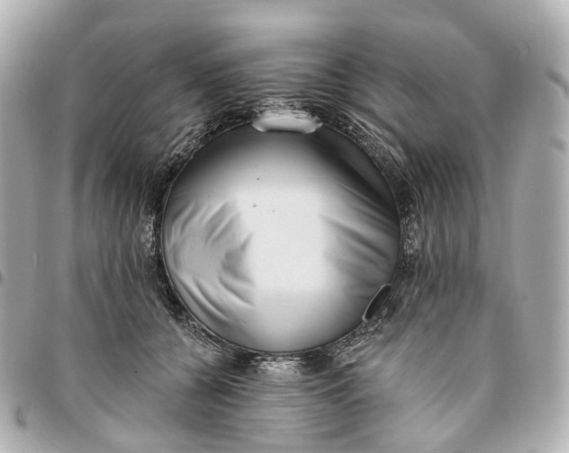 X0000095920560200802011215