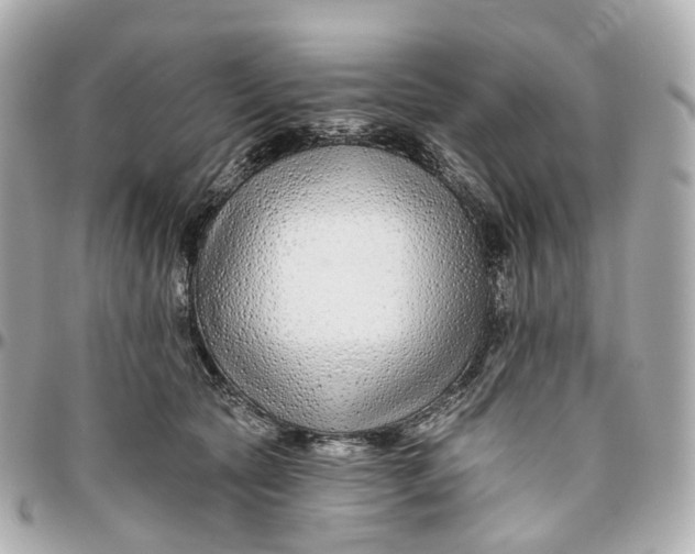 X0000095920561200802011215