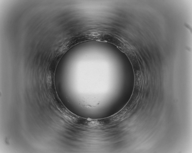 X0000095920562200802011215