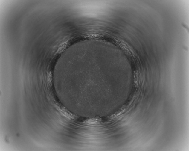 X0000095920563200802011215