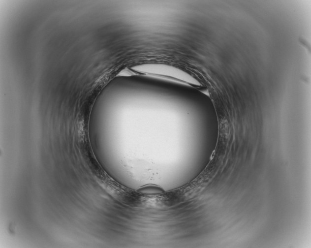 X0000095920564200802011215