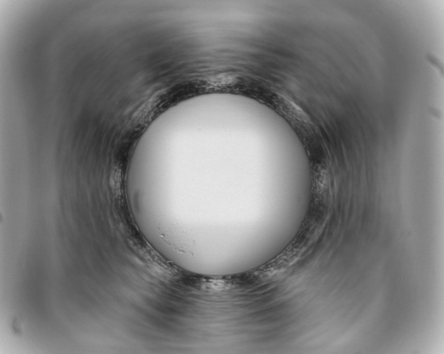 X0000095920565200802011215