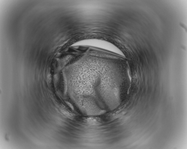 X0000095920566200802011215