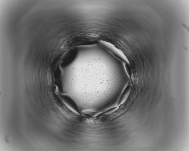 X0000095920568200802011215