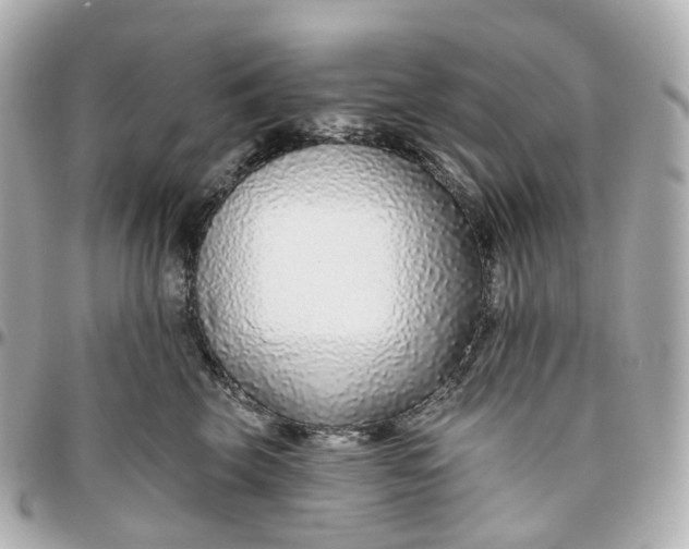 X0000095920569200802011215