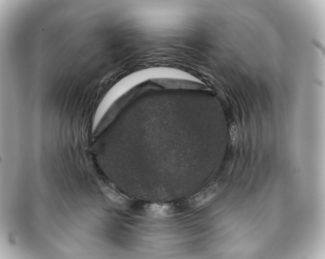 X0000095920570200802011215