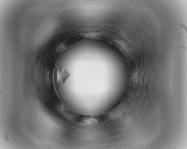 X0000095920572200802011215