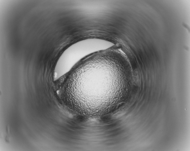 X0000095920573200802011215