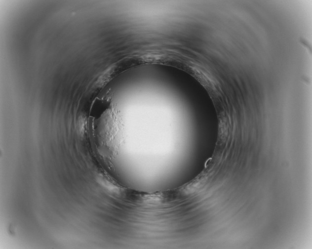 X0000095920574200802011215