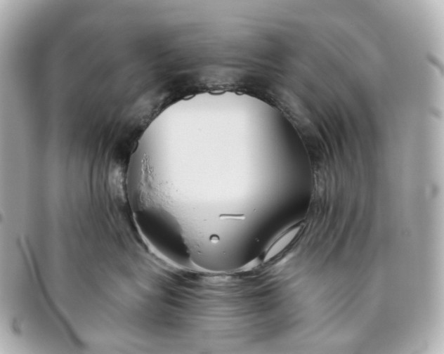 X0000095920575200802011215