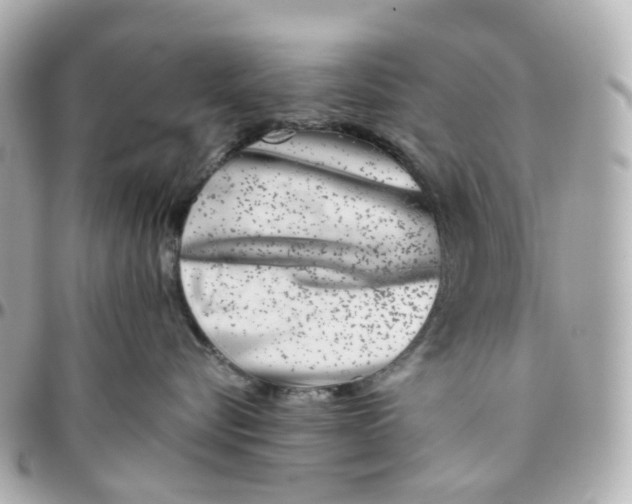 X0000095920576200802011215