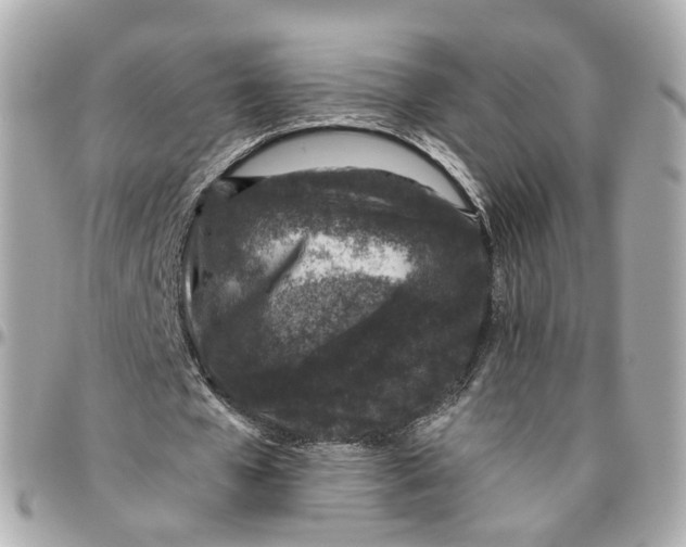 X0000095920577200802011215