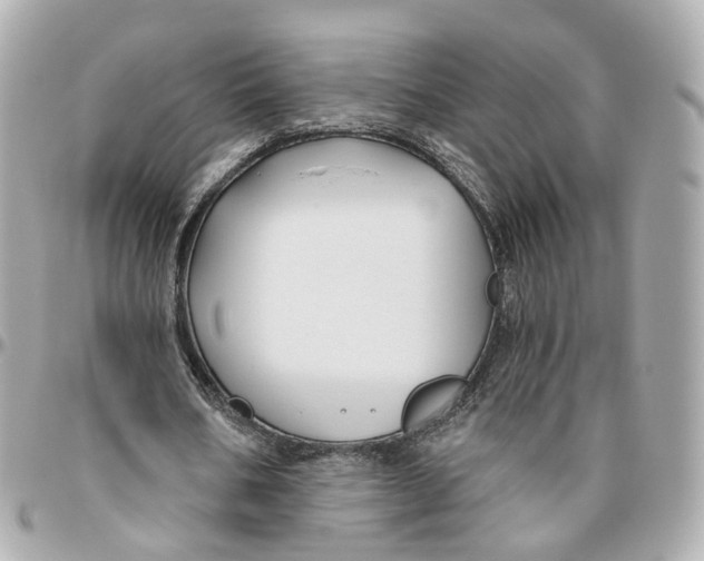 X0000095920578200802011215