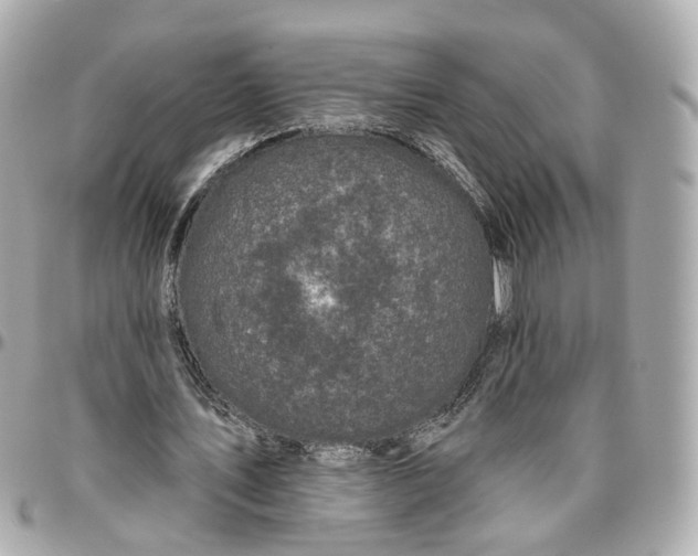 X0000095920579200802011215