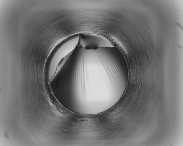 X0000095920580200802011215