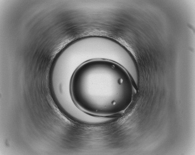 X0000095920581200802011215