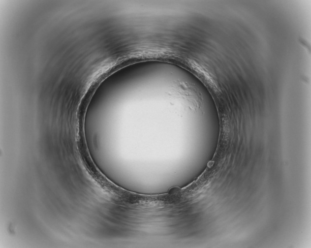 X0000095920582200802011215