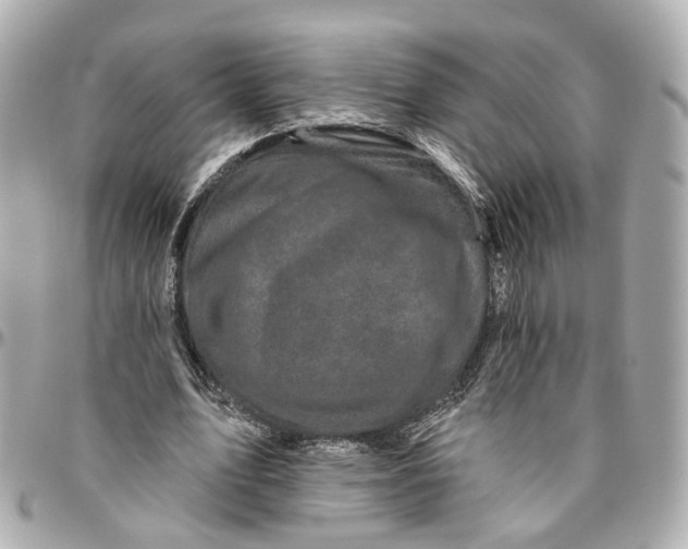 X0000095920583200802011215