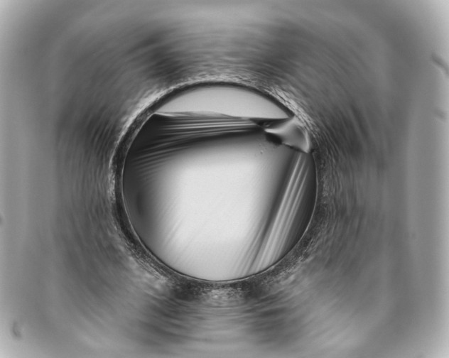 X0000095920584200802011215