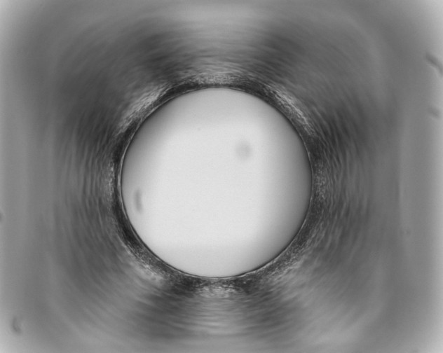 X0000095920586200802011215