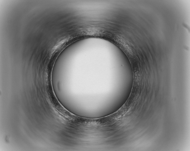 X0000095920587200802011215