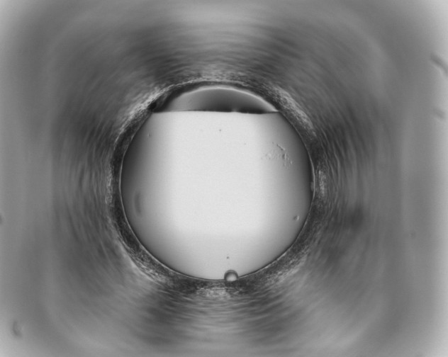 X0000095920588200802011215