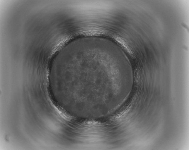 X0000095920590200802011214