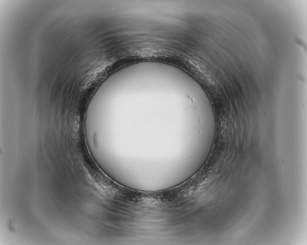 X0000095920592200802011214