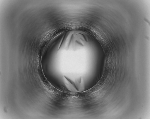 X0000095920594200802011214