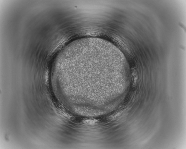 X0000095920595200802011214