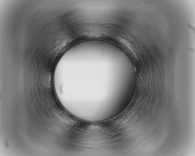 X0000095920596200802011214