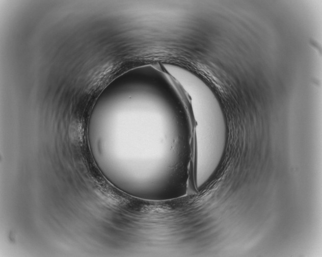 X0000095920597200802011214