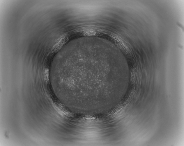 X0000095920598200802011214