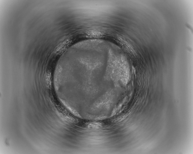 X0000095920599200802011214